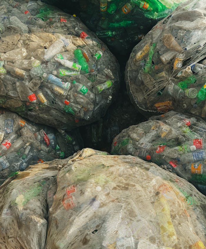 trash recycle